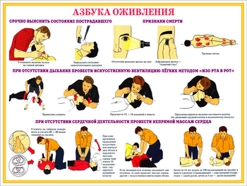 ПВ05 Первая помощь при чрезвычайных ситуациях (пластик, А3, 9 листов) - Плакаты - Медицинская помощь - vektorb.ru